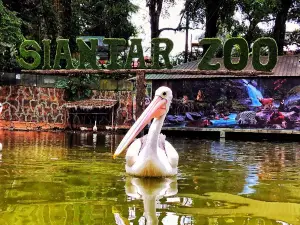 Taman Hewan Pematang Siantar -THPS