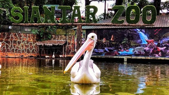 Taman Hewan Pematang Siantar -THPS