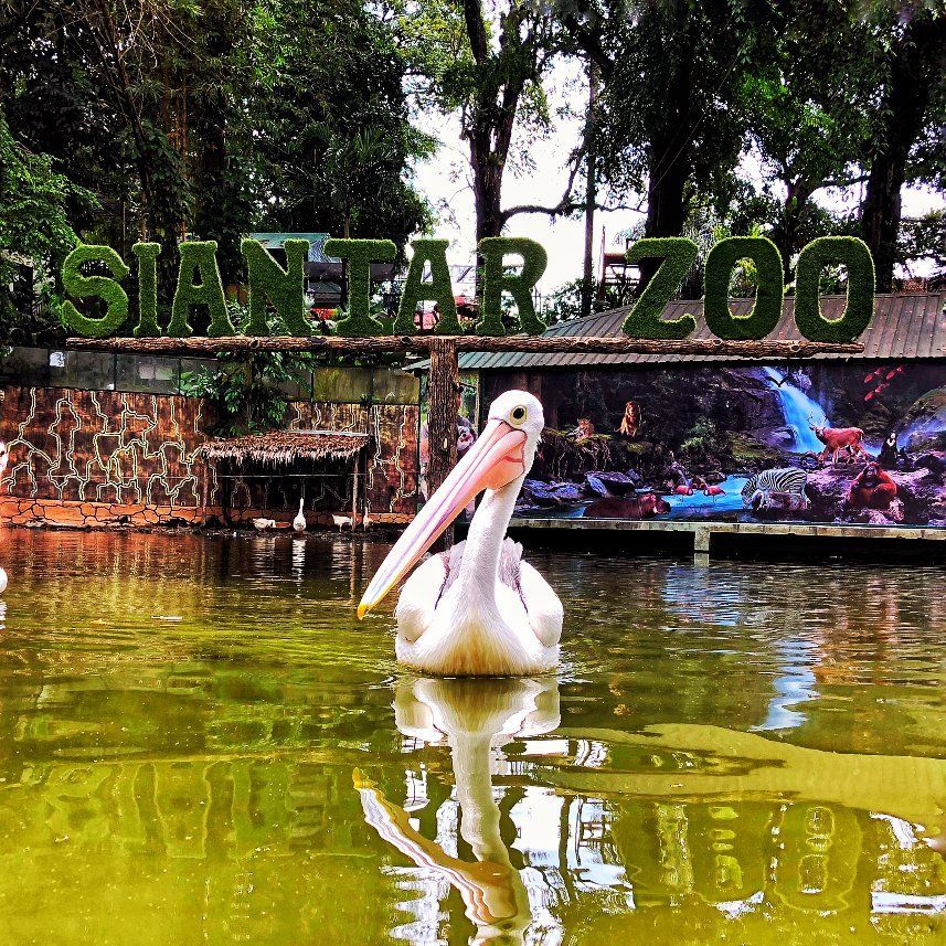 Taman Hewan Pematang Siantar -THPS