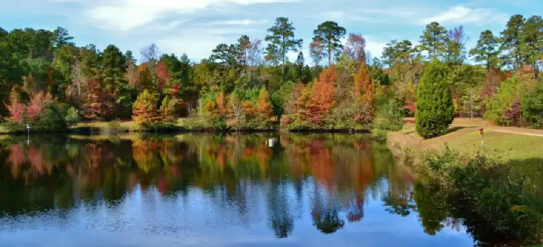 Hoteles en Condado de Johnston
