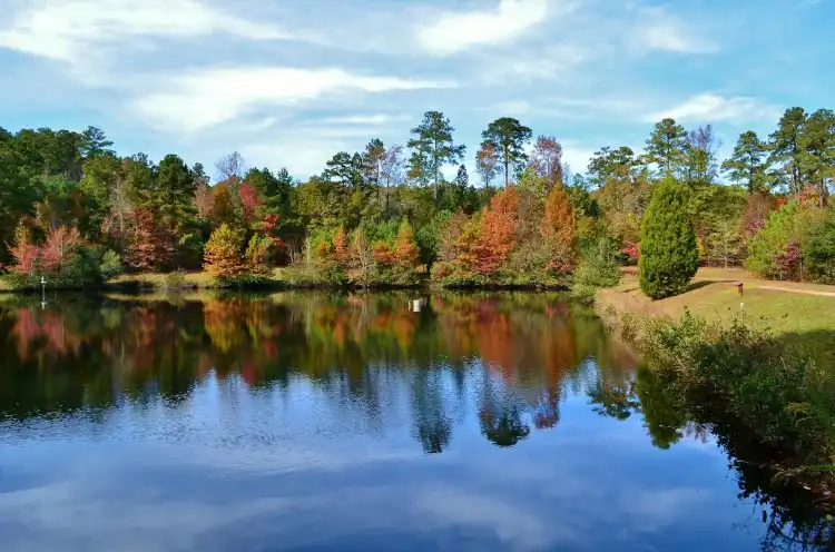 Comfort Inn Hotels in Johnston County