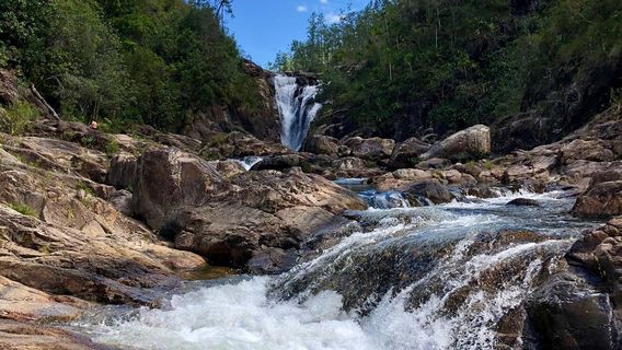 Mountain Pine Ridge Forest Reserve
