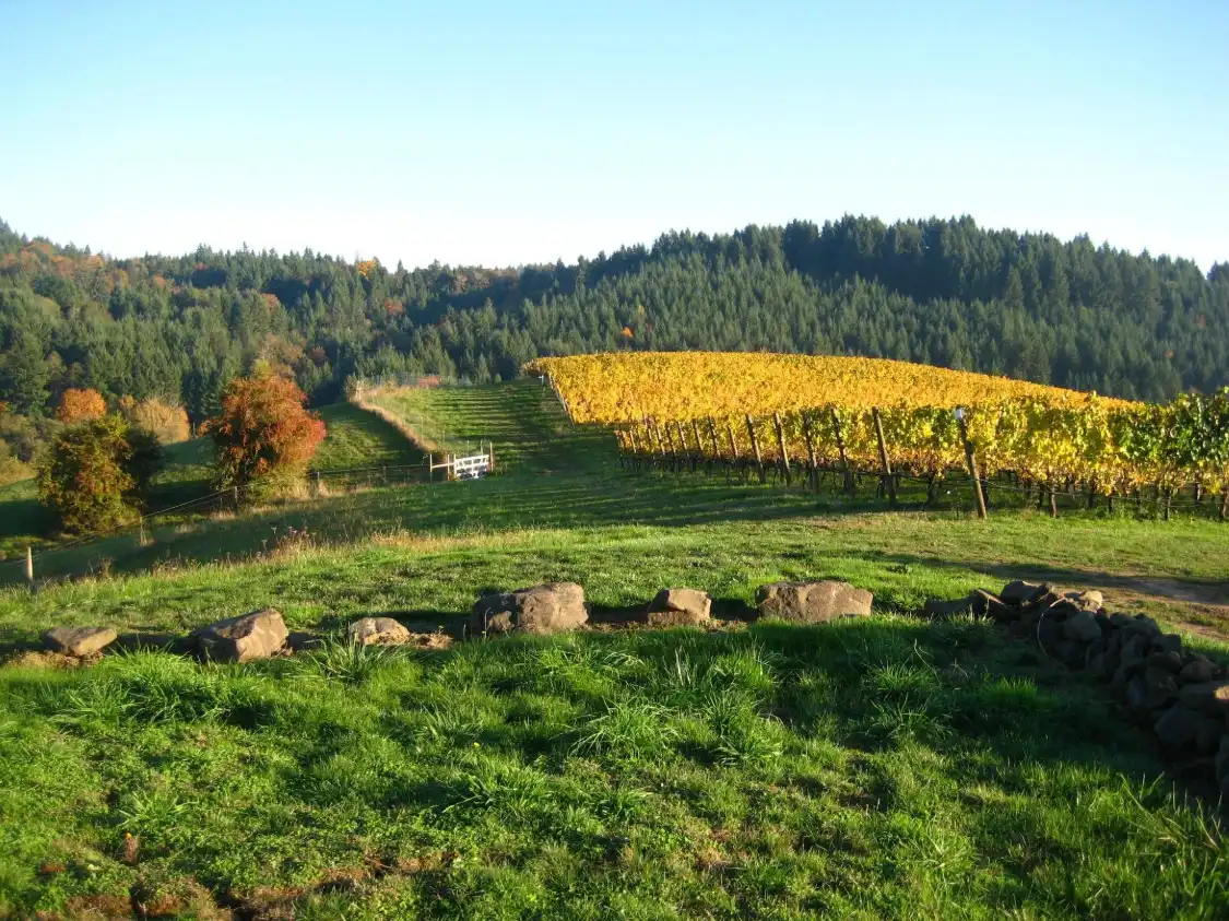 Hotels near Willamette Valley