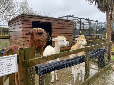 Woodside Animal Farm