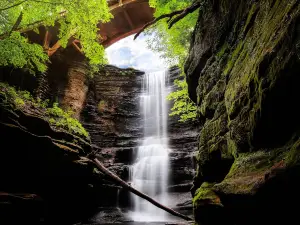 Matthiessen State Park