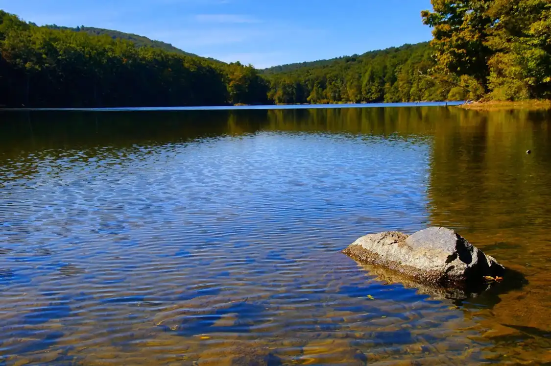 Hotel dekat Cunningham Falls State Park