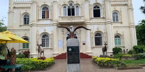 Museum of Historia Natural de Maputo