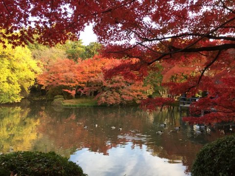 교토부립식물원
