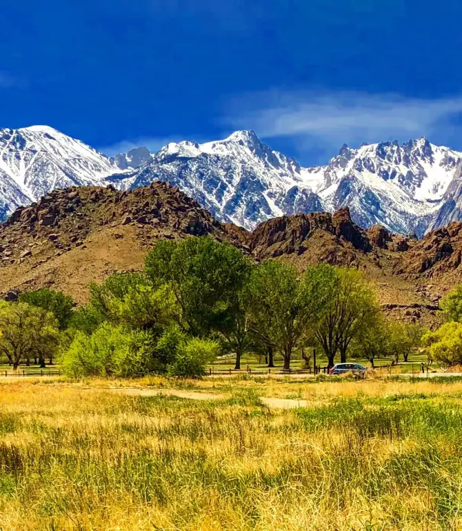Lone Pine