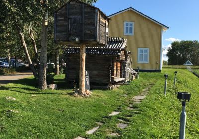 Arjeplog