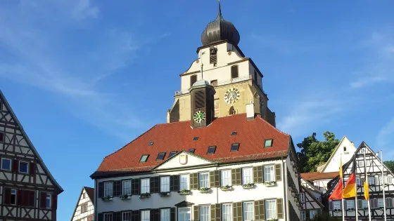 Stiftskirche Herrenberg