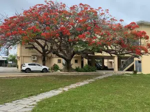 Alele Museum, Library and National Archives
