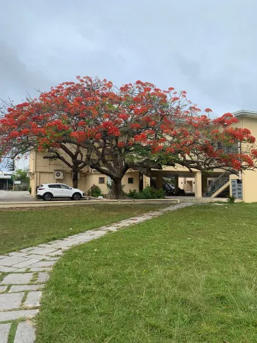 Alele Museum, Library and National Archives