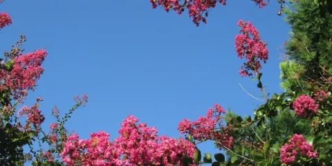 Botanical Garden Ecopark