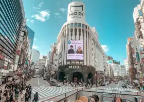 東京SKY HOP Bus隨上隨下觀光巴士