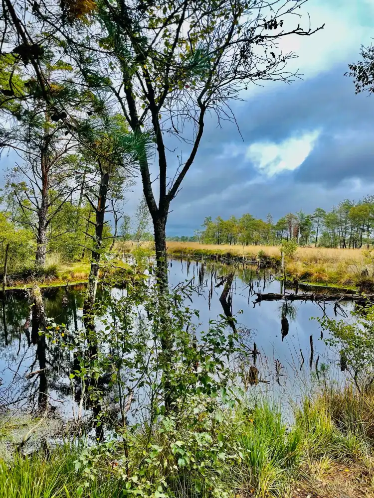 Hotels in Heidekreis