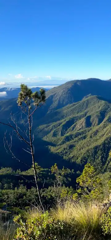 Hoteles en Jarabacoa