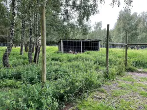 Laganland Elk Park