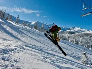 Ski Planneralm