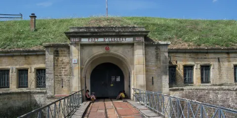 Fort Uxegney