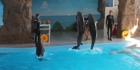 Tropicheskaya Amazonka Oceanarium and Exoterrarium