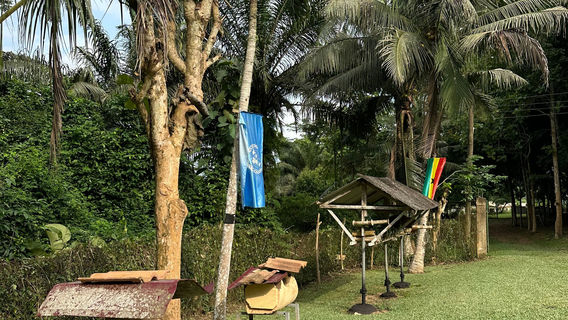 International Stingless Bee Centre