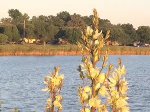 Boomer Lake Park