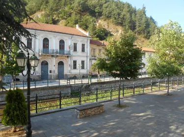 Florina