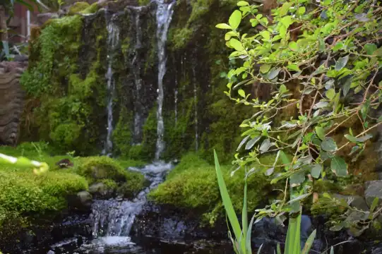 鄰近Texel Zoo的酒店