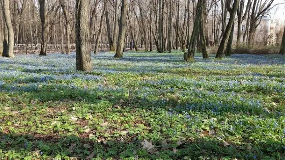 B. Keller Botanical Garden