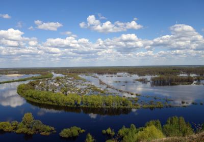 Vyazniki