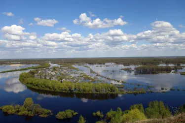 Vyazniki