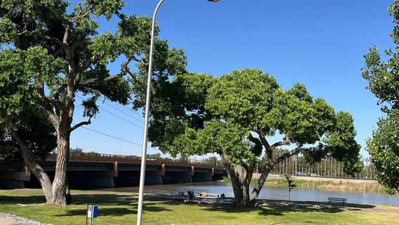 라 로로나 공원