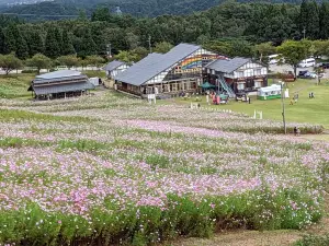 となみ夢の平スキー場