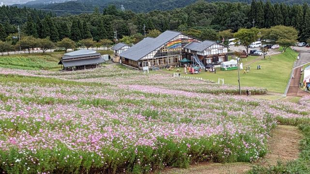 Tonami Yumenotaira