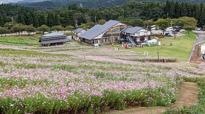 Tonami Yumenotaira
