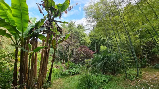 Jardin La Laurisylve