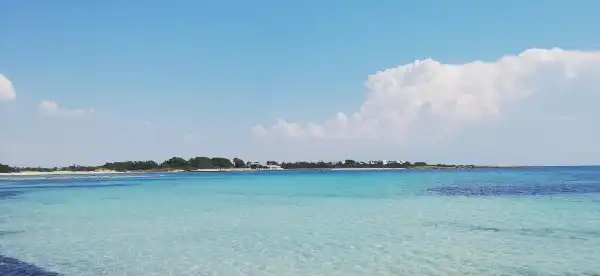 Hotels in Punta Prosciutto