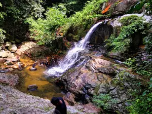 Forest Jeram Tengkek