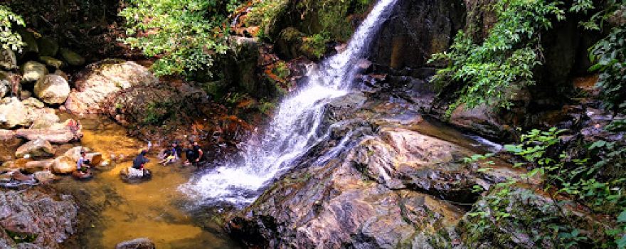 Forest Jeram Tengkek