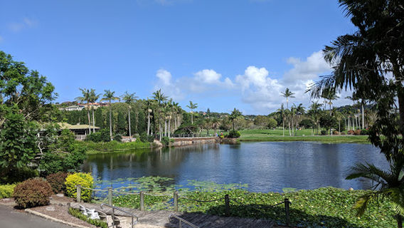 Tweed Heads