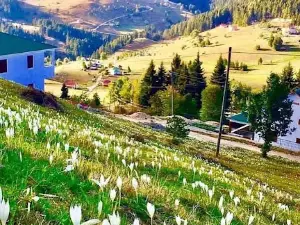 Sazalan Yaylası