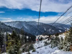 Middle cableway station "Zahar Berkut"