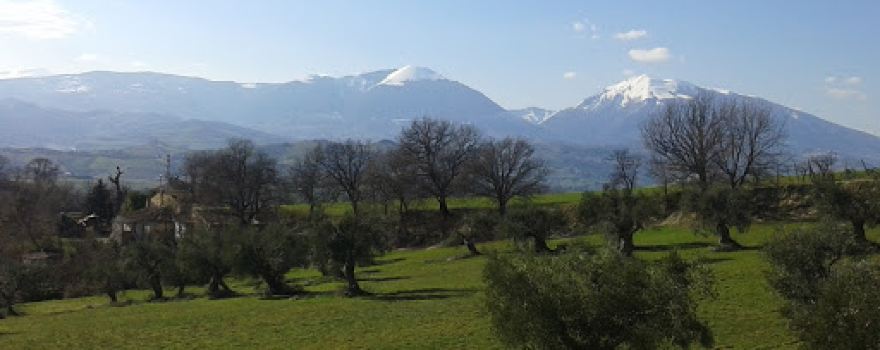 Campo sportivo comunale
