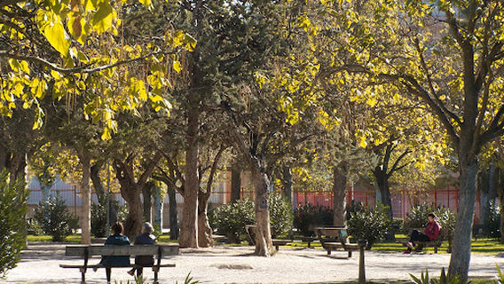 Parque de Los Olivos