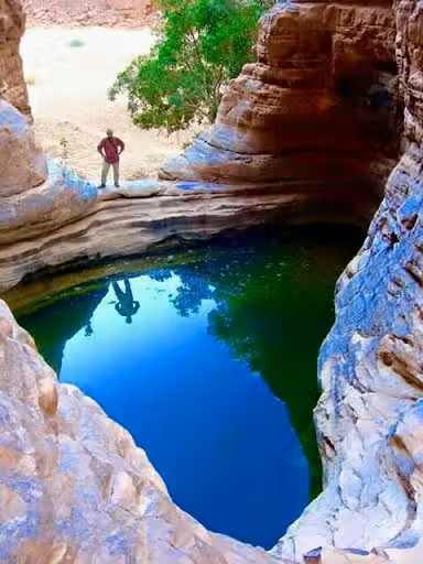${{cityDName}} to Biskra Flights