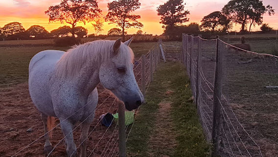 Llanrhystud