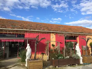 Pépinière d'Arcadie