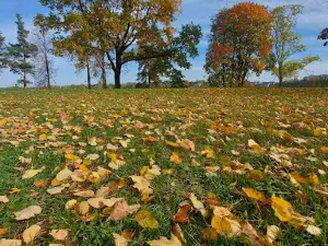 Aukštupėnai mound