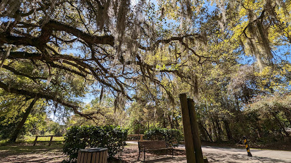 Spanish Moss Trail Parking - Westvine